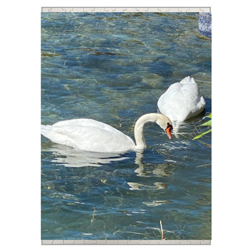 Immagine di Puzzle A3-IMG-20240811-WA0043