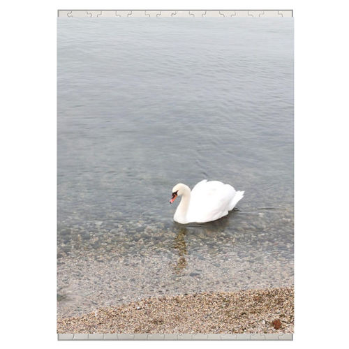 Immagine di Puzzle A3-IMG-20240811-WA0048