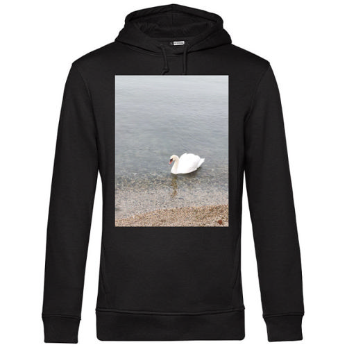Immagine di Felpa Uomo Cappuccio Cotone Organico | B&C WU33B-IMG-20240811-WA0089