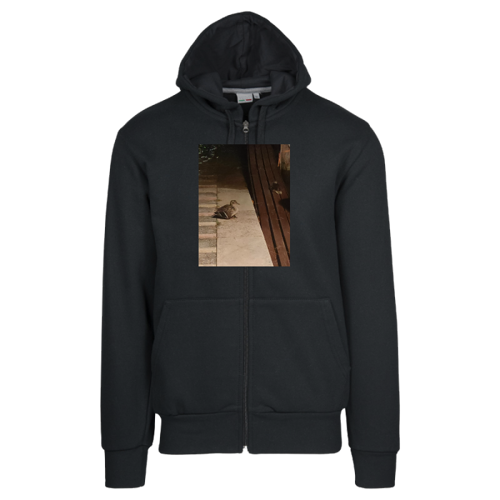Immagine di Felpa Donna Cappuccio e Zip | B&C WW03Q-IMG-20240811-WA0092