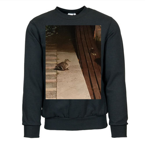Immagine di Felpa Donna Girocollo Cotone Organico | B&C WW32B-IMG-20240811-WA0092