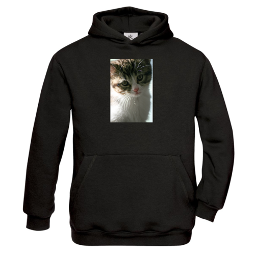 Immagine di Felpa Cappuccio Bambino B&C CWK681-iso-republic-kittens_9_animals