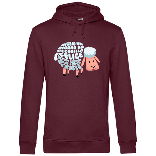 Immagine di Felpa Uomo Cappuccio +COLORI