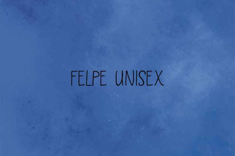 Immagine per la categoria .Felpe Unisex.