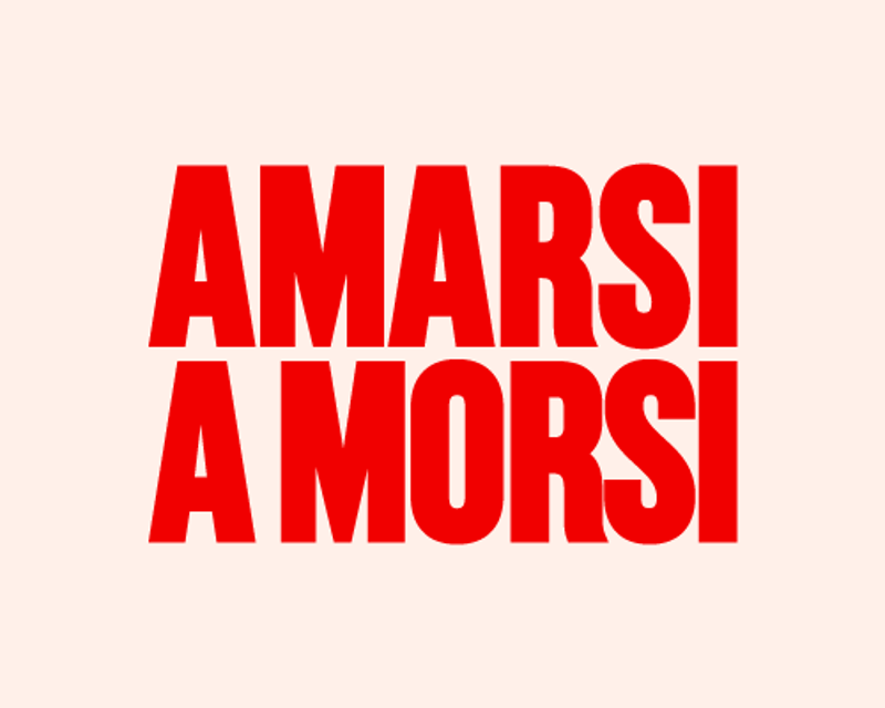 Immagine per la categoria amarsi a morsi