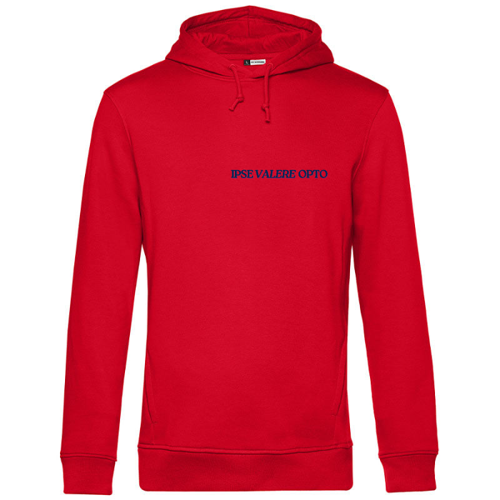 Immagine di Felpa Uomo Cappuccio Cotone Organico | B&C WU33B