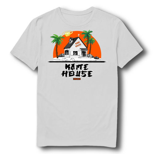 Immagine di  KAME HOUSE (Dragon Ball) 