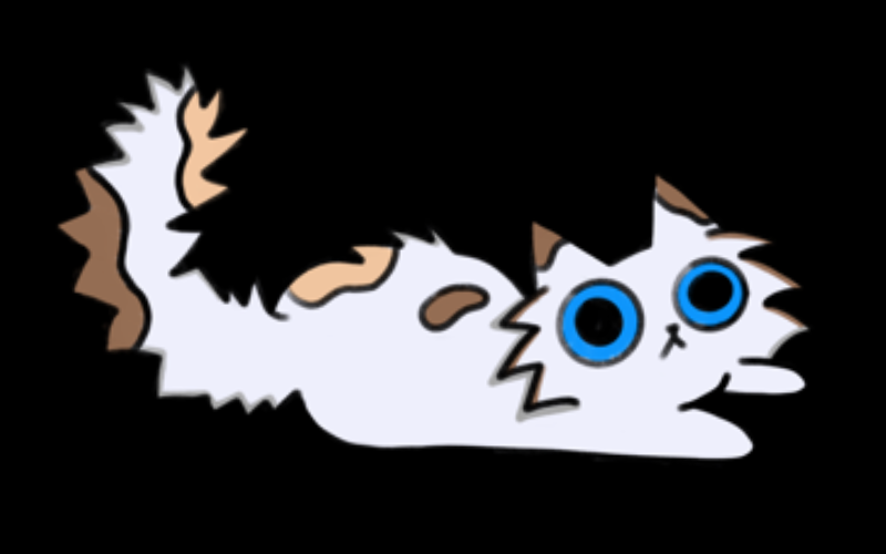 Immagine per la categoria Cat Merch