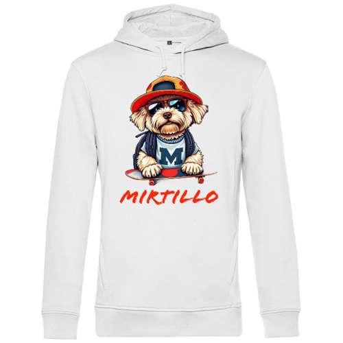 Immagine di Felpa Uomo Cappuccio MIRTILLO