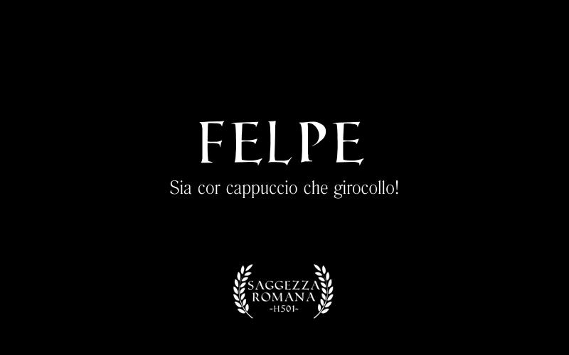 Immagine per la categoria Felpe