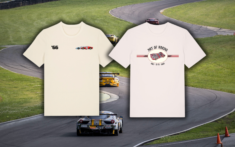 Immagine per la categoria Art of Racing