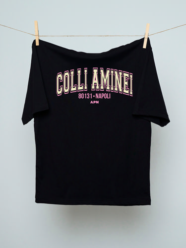 Immagine di T-SHIRT COLLI AMINEI