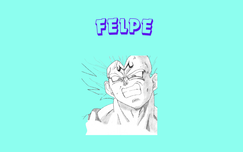 Immagine per la categoria Felpe