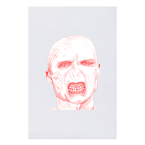 Immagine di Telo Voldemort