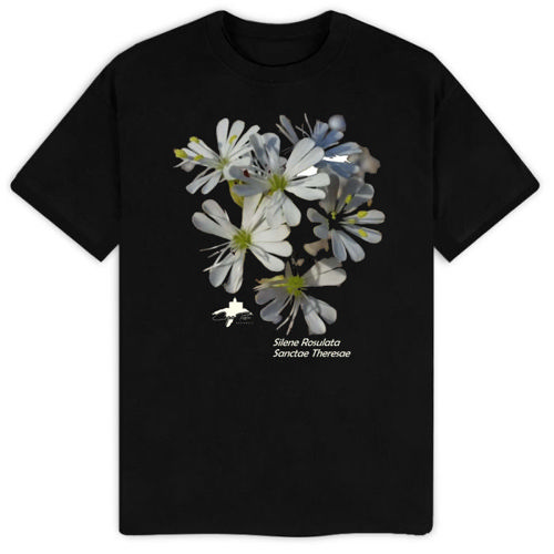 Immagine di T-Shirt Uomo Cotone Organico Inspire E150 | B&C TU01B-immW