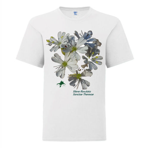 Immagine di T-Shirt Bambino Exact 150 | B&C TK300-imm