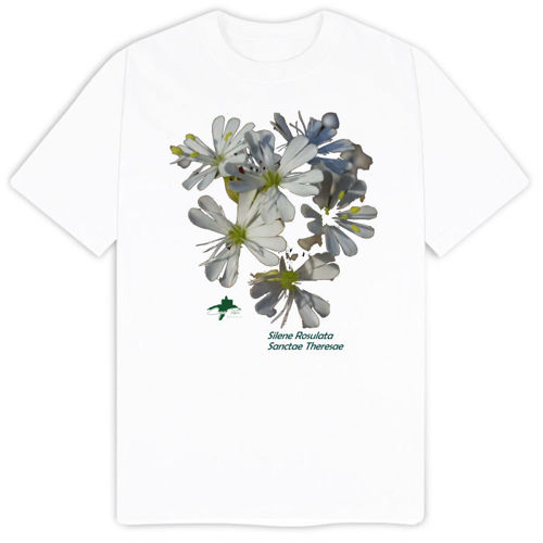 Immagine di T-Shirt Uomo Cotone Organico Inspire E150 | B&C TU01B-imm