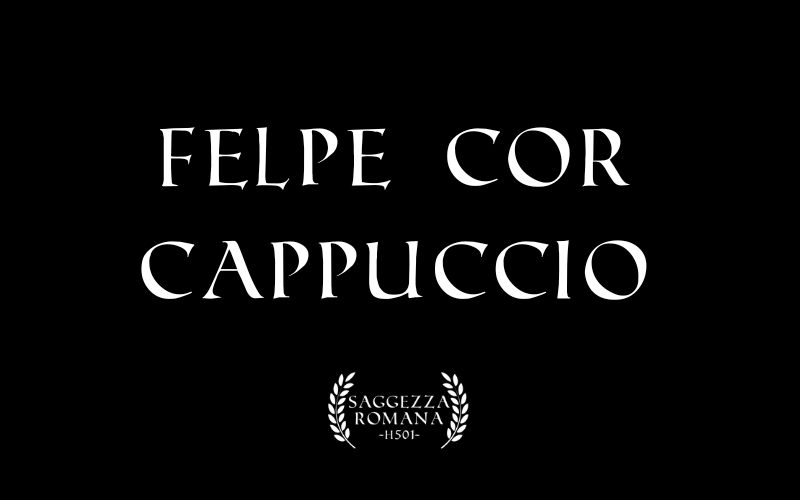 Immagine per la categoria Felpe Cor Cappuccio 